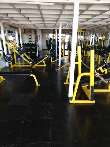 Axel Gym