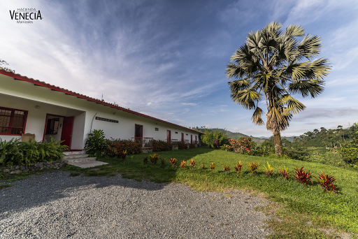 Hacienda Venecia Coffee Farm