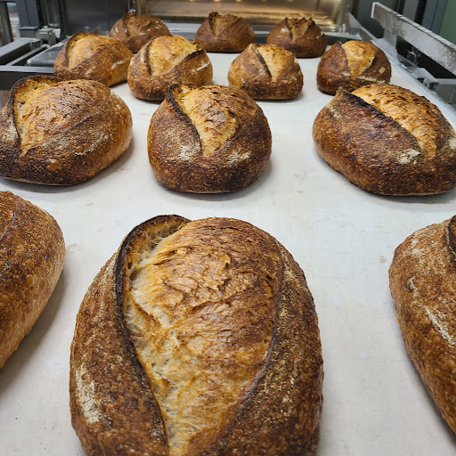 Allegro - Vegan Bakery & Sandwich Shop - Thumbnail