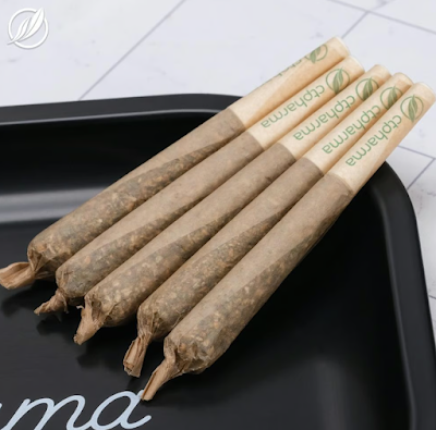 Photo of Zen Leaf Cannabis Dispensary