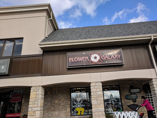 Flower Galaxy - Visual