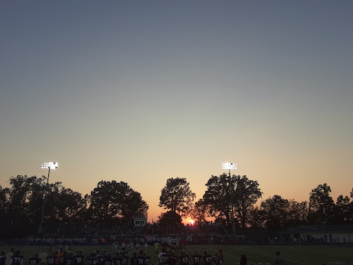 Arlington Stadium - Visual