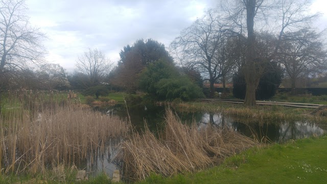 Arborerum de Paris