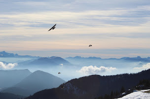 Photo n°23 de Itinéraire Vertical à Groslée-Saint-Benoit (Moniteur.rice d'escalade)