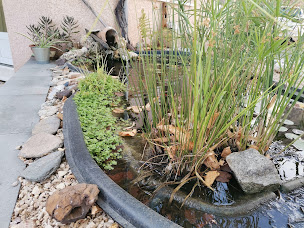 Photo n°14 de BIEN DANS MON ETRE à Vézénobres (Club de tai-chi)