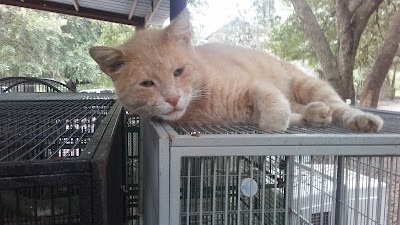 Photos of Alaqua Animal Refuge