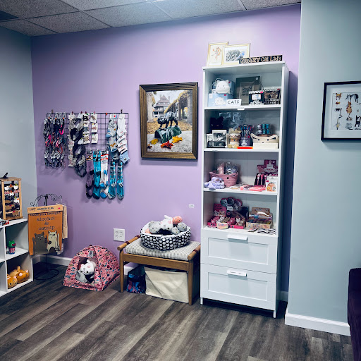 The Cat Lady Cafe South Bend