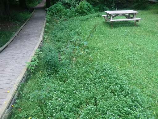 Prentice Park City Campground - Thumbnail