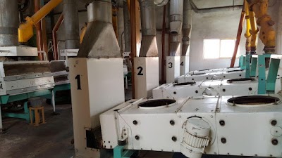 Photos of روغن کشی بندر امام