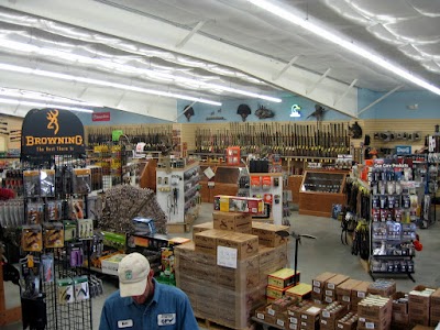 store