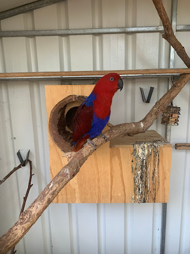 Birds 'N All Gallery - Australia
