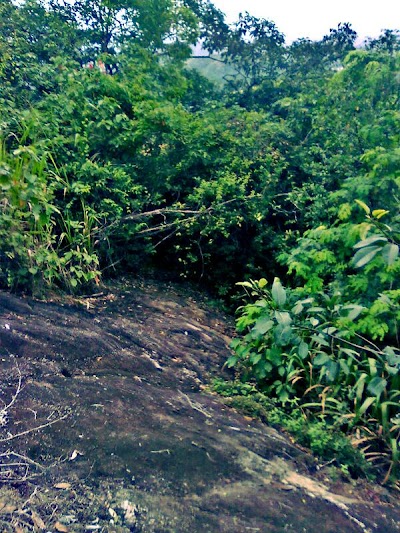 Photos of Radawela Arnya Senasanaya