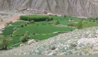 Safar Ali Garden باغ صفرعلي باي