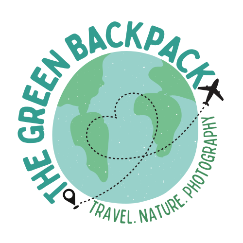 The Green Backpack - Thumbnail