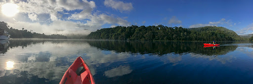 Tasmanian Safaris