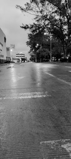 Parada TRV y AU (Ordinario Xalapa) - Thumbnail