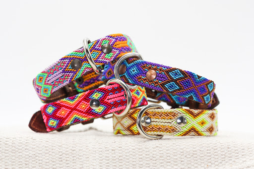 Ajolotes - Visual