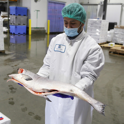 Santa Monica Seafood Company by null