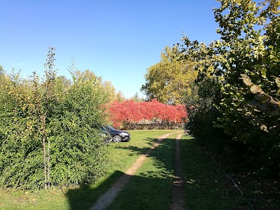 Photos of Csengettyűs Guest House