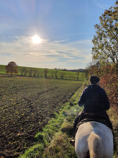 River Ranch Westernreiten Eifel - Thumbnail