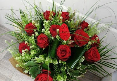 Photos of Mayflower Vintage Floral Design