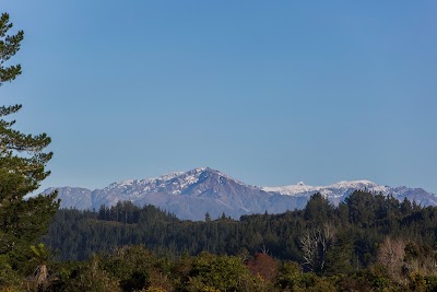 Photos of Woodland Glen Lodge