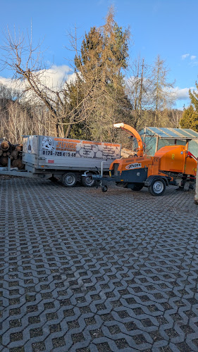 Dienstleistungen Jungk photo