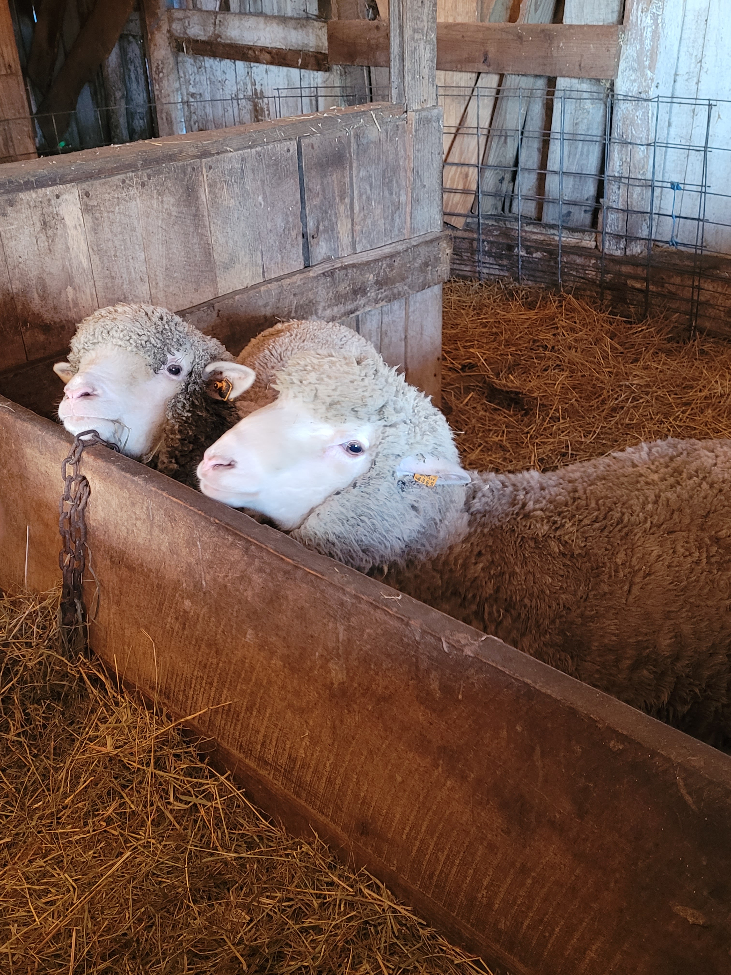 Grandpa Tiny's Farm