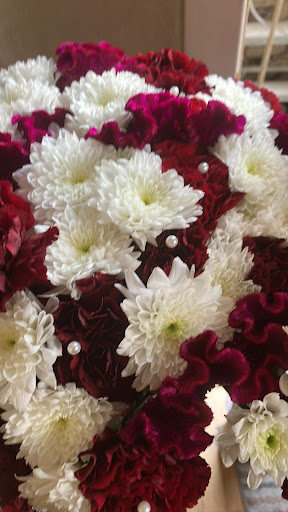 Creative petals - Visual