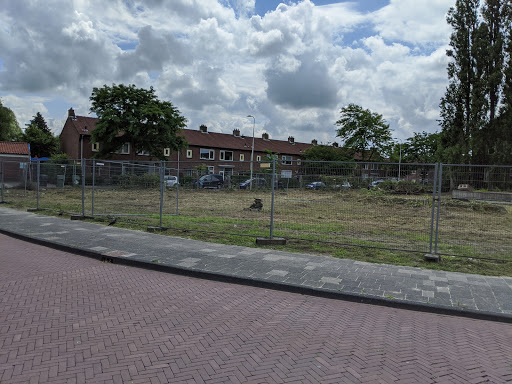 Morskring