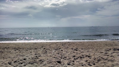 Photos of Best Florida Resort