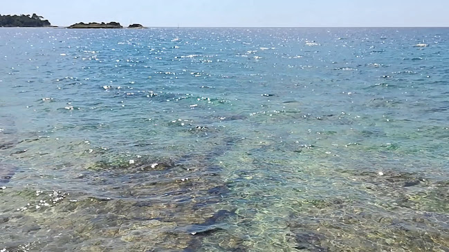 http://www.inforovinj.com/eng/rovinj/plaze/zlatni-rt.asp