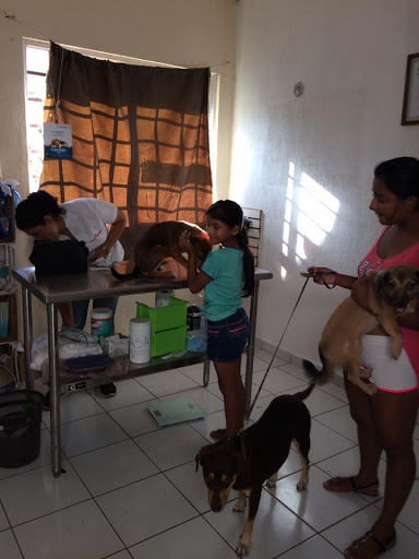 Animal Center Cancún