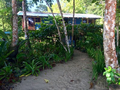Photos of Rincon Magico