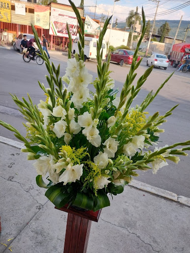 D' Yoyis Floreria