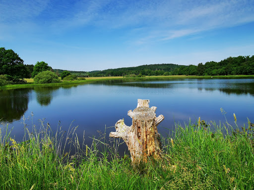 Schalksbachteiche - Visual