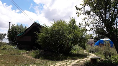 Photos of Nark&ouml;y