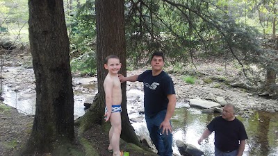 Photos of Ward Cabins, Allegany State Park