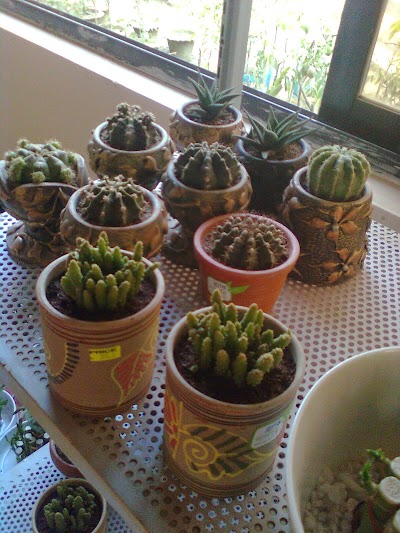 Photos of BRAC Nursery
