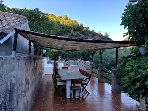 Molino Lorca - Visual
