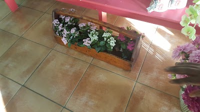 Photos of Fresh Flowers International