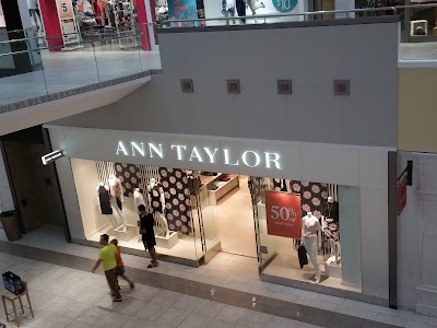 Ann Taylor