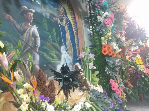 Los Rojas - Visual