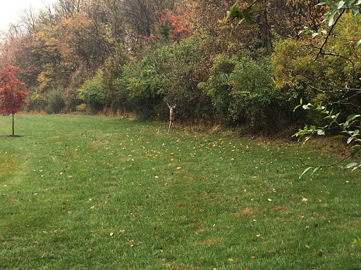 Clepper Park - Thumbnail