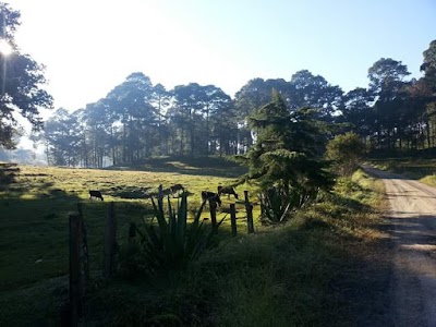 Photos of Finca Chirax Quen