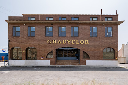 Gradyflor - Visual