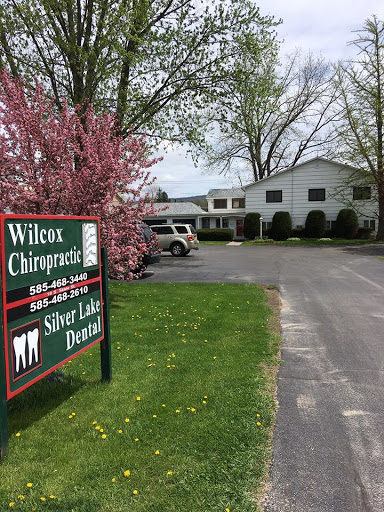 Wilcox Chiropractic