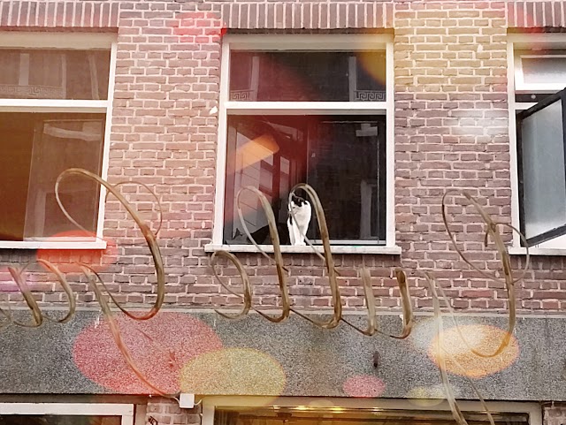 Proeflokaal Het Gulle Gasthuys