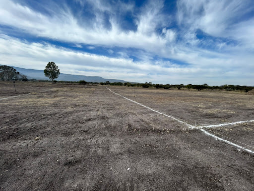 SAHAI Campestre