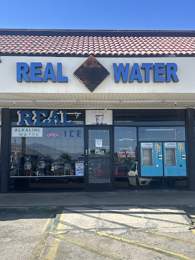 Real Water Coachella - Thumbnail